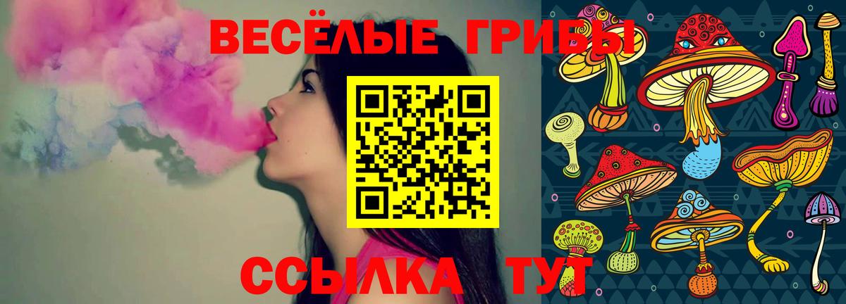 Южноуральск  Галлюциногенные грибы мицелий  Вход с VPN 